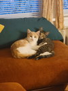Precious - Photo 3