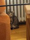 Princess - Photo 3