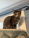 Princess - Photo 4