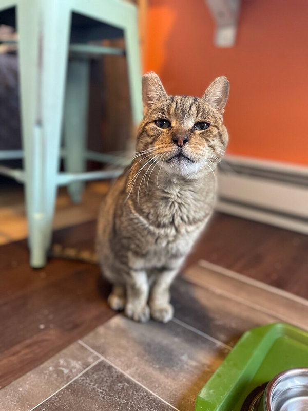 Milo