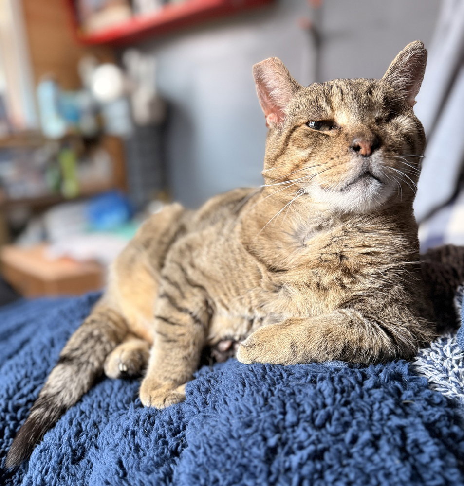 Milo