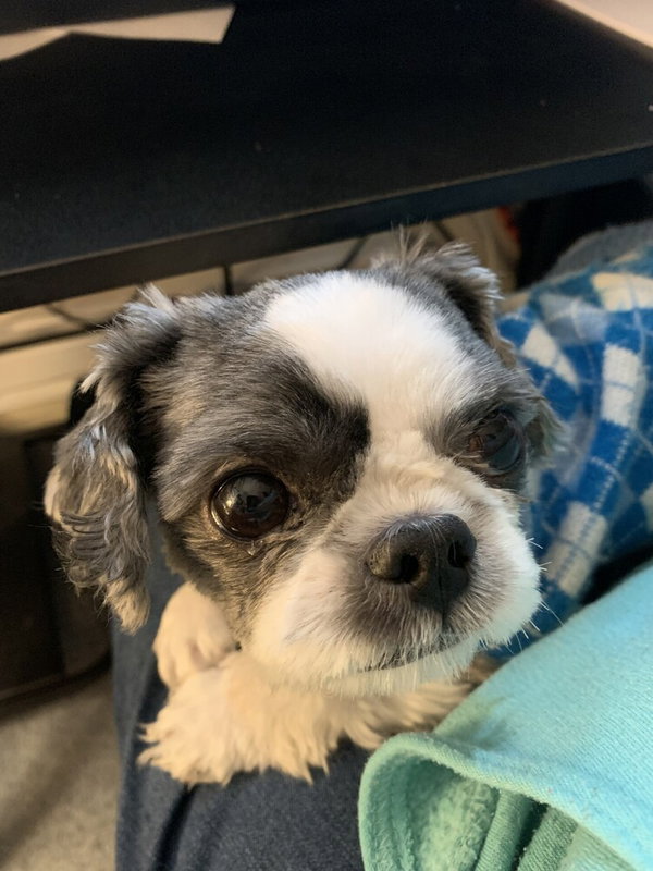 Beau