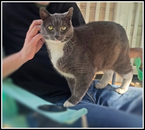 Photo 3 of Big Boy