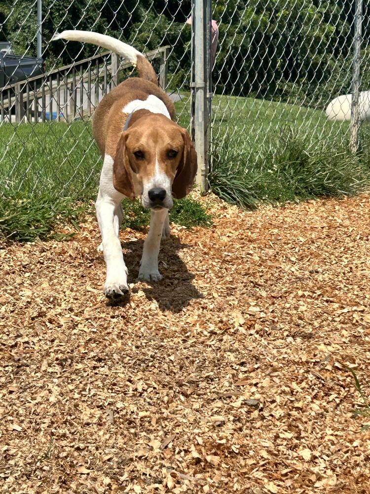 Benny
