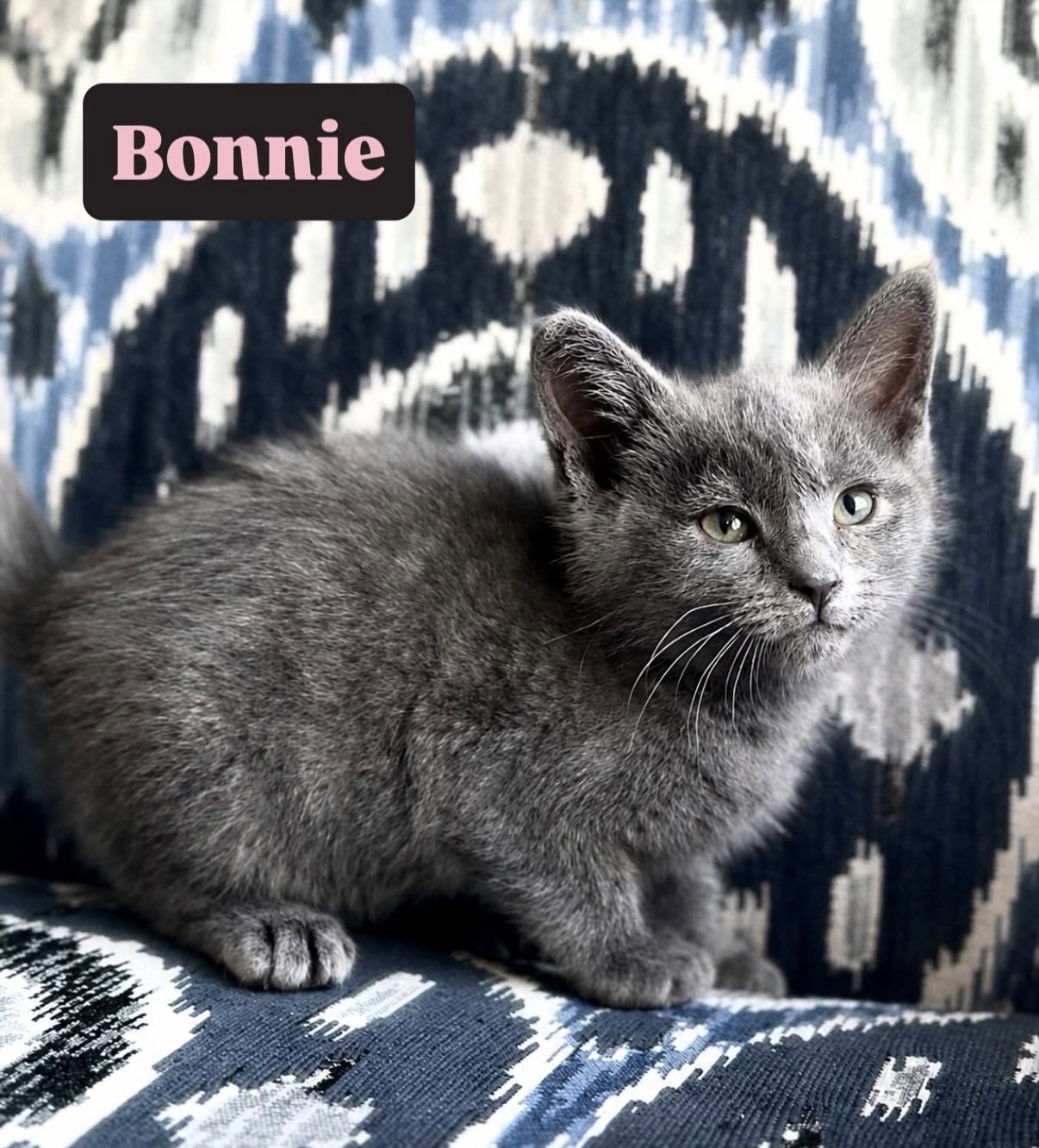 Bonnie