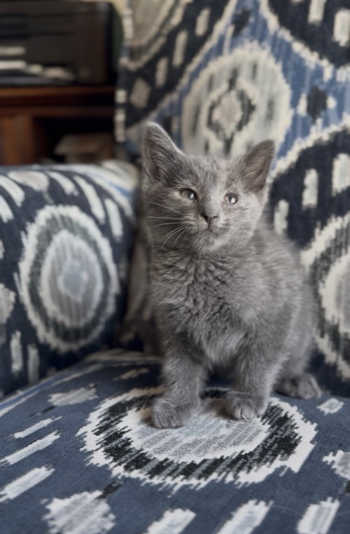 Clyde photo 2
