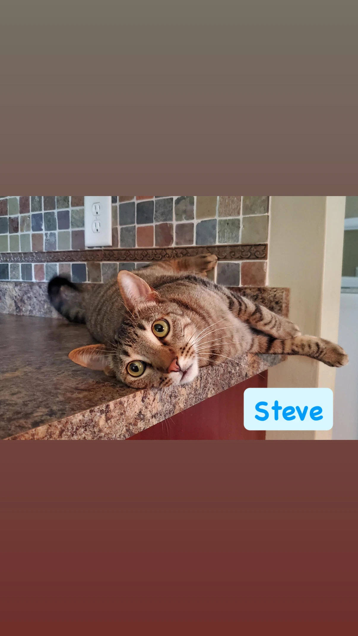 Steve