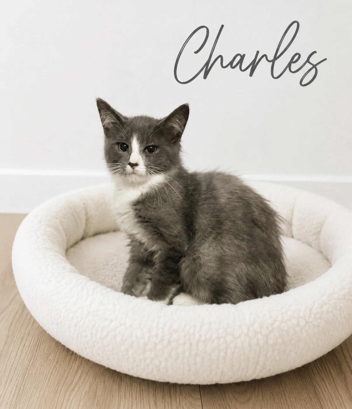 Charles