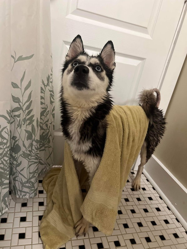 Kira