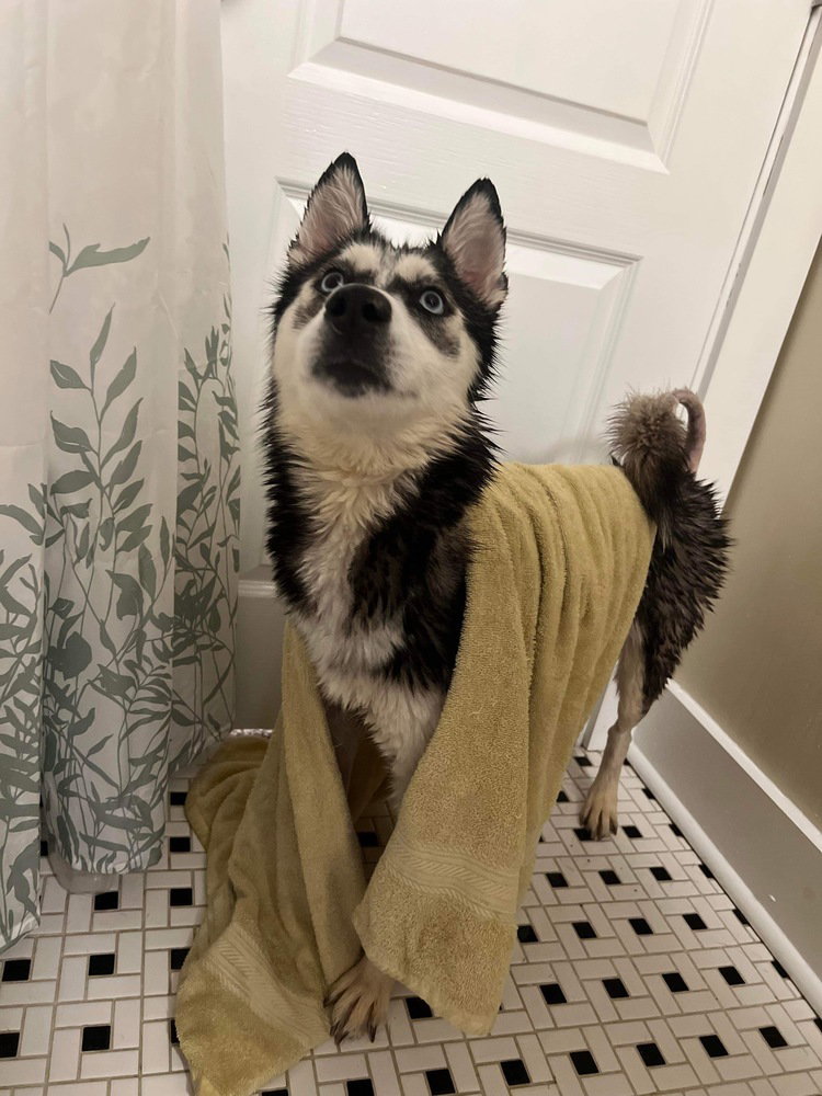 Kira