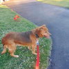 Baby Girl - Photo 3