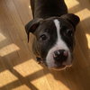 Emma - Photo 4