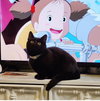 Cleo (Trax) - Photo 2