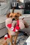 Ruby - Photo 2