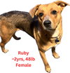 Ruby - Photo 3