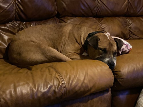 Photo 5 of Bubba