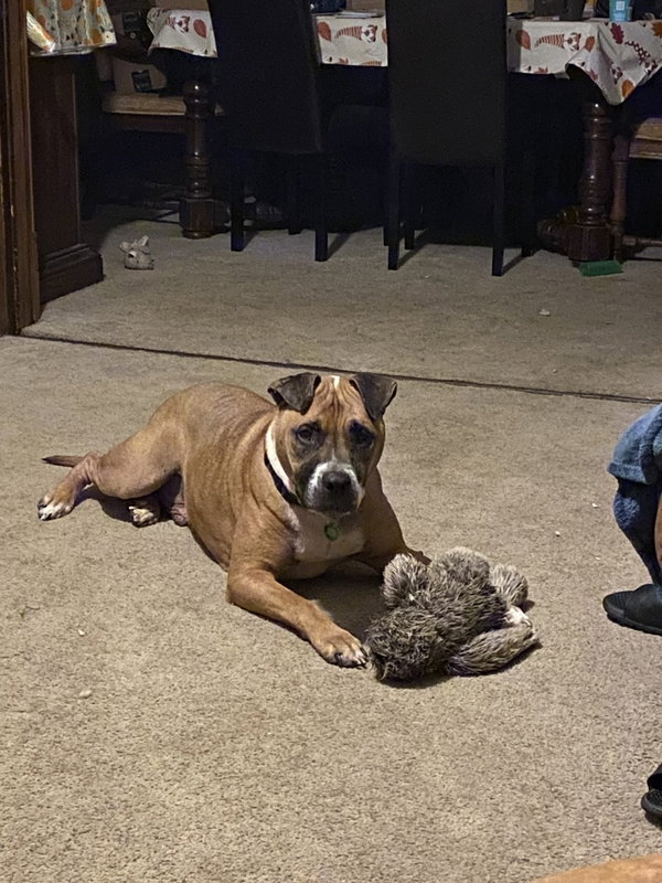 Bubba