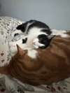 Dorothy - Photo 2