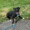 Luigi - Photo 4