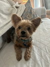 Jake - Photo 1