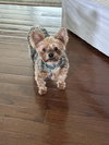 Jake - Photo 4