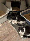 Checkers - Photo 4