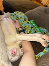 Nyx - Photo 3