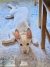 Jerry - Photo 3