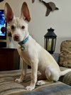 Jerry - Photo 4