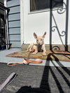 Newman - Photo 2