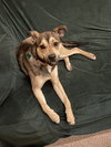 Kristoff - Photo 3