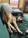 Kristoff - Photo 4