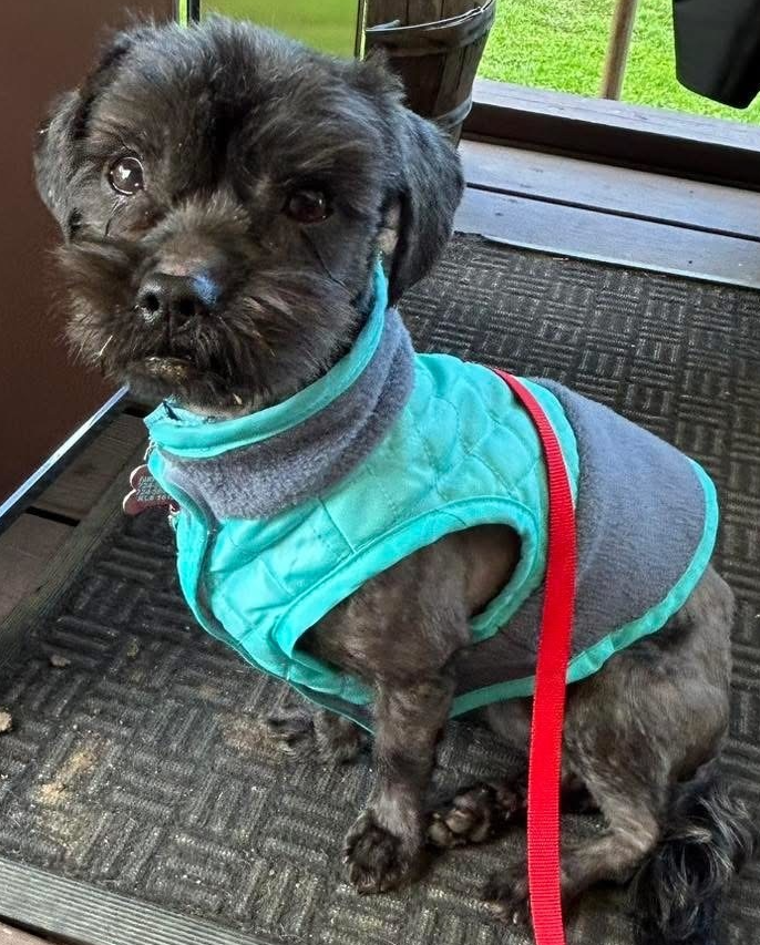 Wally Image
