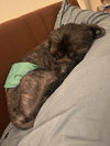 Wally - Photo 2