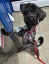 Wally - Photo 4