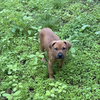 Bobby - Photo 2