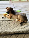 Jan - Photo 3