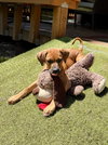 Peter - Photo 4