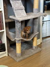 Biscuit - Photo 4