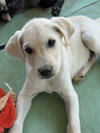 Yukon - Photo 1