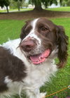 Simon - Photo 2
