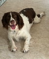 Simon - Photo 4