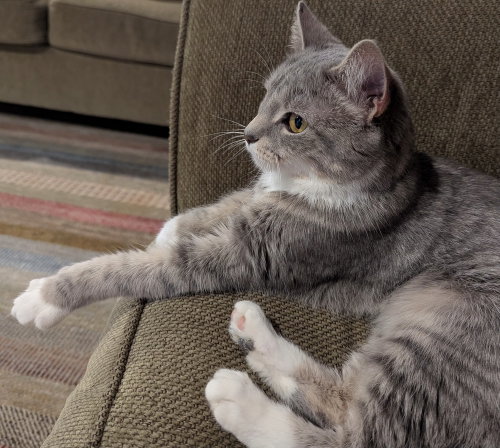 Samantha