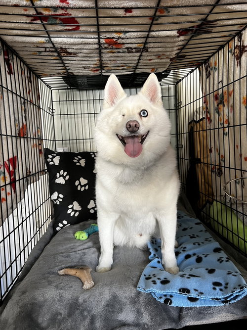 Jax