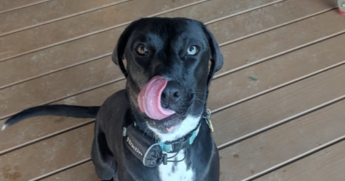 Norma Jean