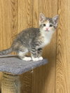 Maia - Photo 3