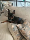 Biggie - Photo 3