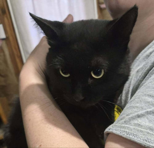 Porter
