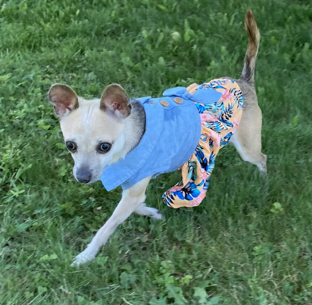 Winnie Image