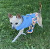 Winnie - Photo 1